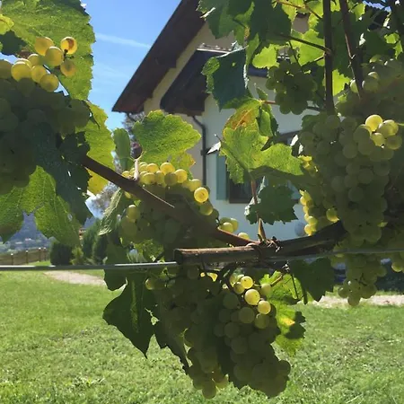 La Casa In Collina Trento